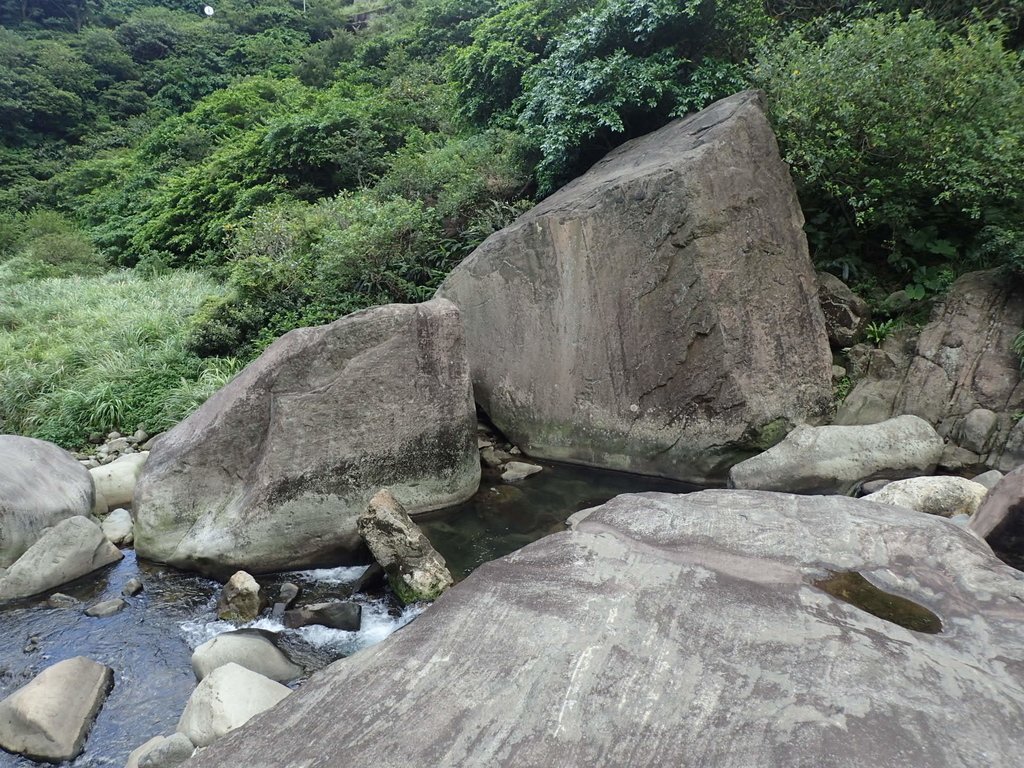 P8317623.JPG - 瑞芳  雷霆岩下之  溪谷風情