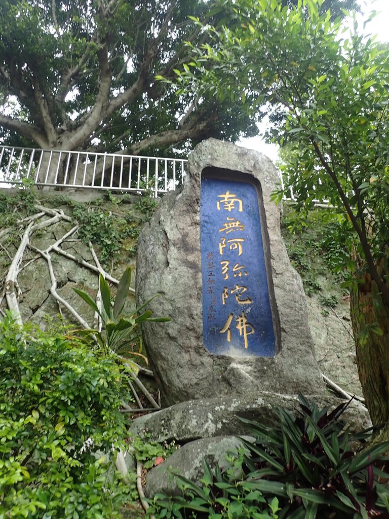 P3116848.JPG - 臨濟護國禪寺  日治遺跡巡禮