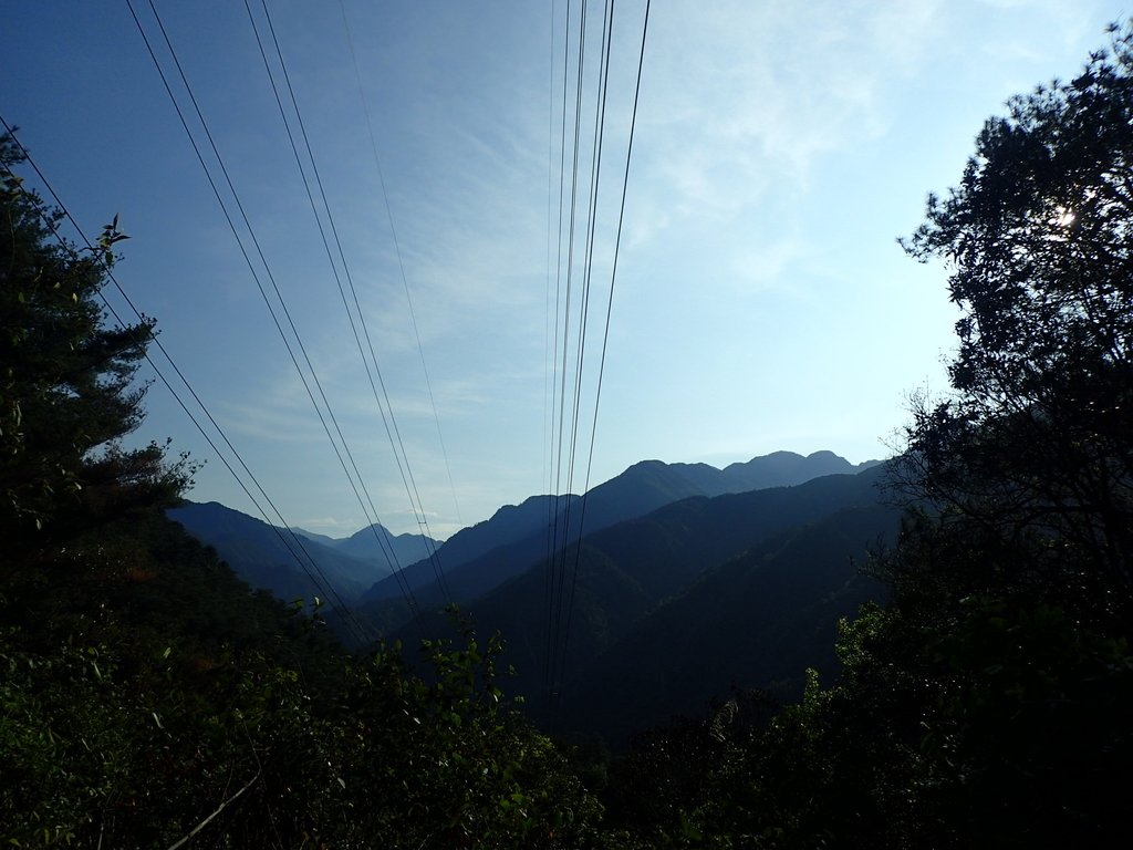 P3167126.JPG - 谷關  德芙蘭步道