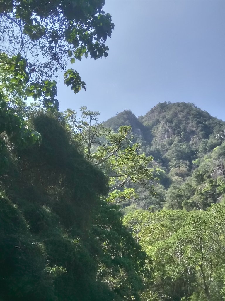 DSC_6863.JPG - 太平  暗影山(酒桶山)