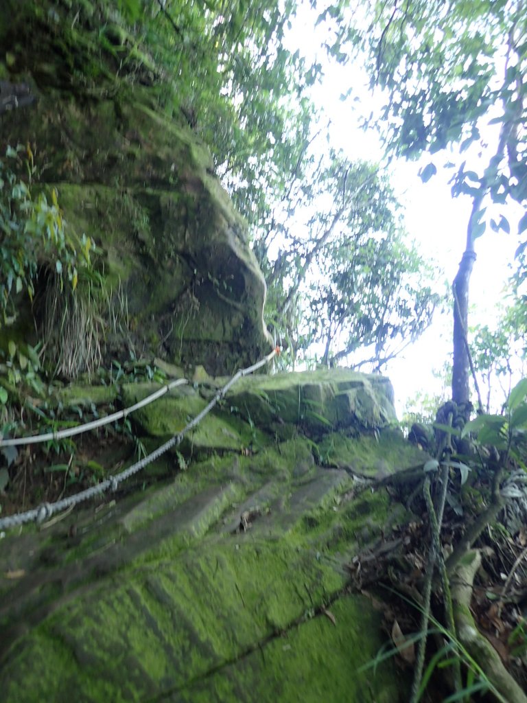 P6284834.JPG - 國姓  大橫屏山