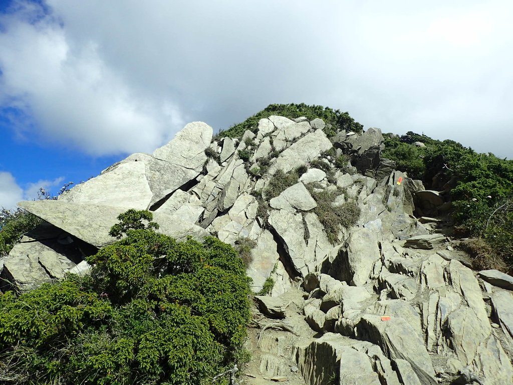 P7245963.JPG - 合歡山  北峰之美  (上)