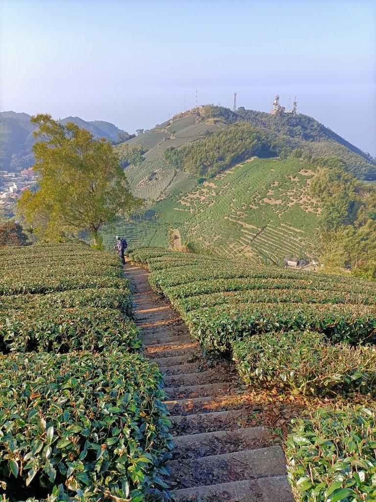 IMG20210130091347.jpg - 雲嘉連峰之  太平山  梨子腳山