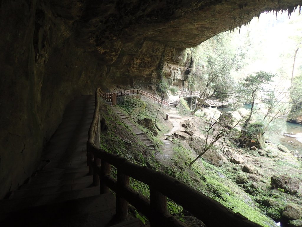 P2056659.JPG - 竹山  杉林溪森林遊樂園  路過