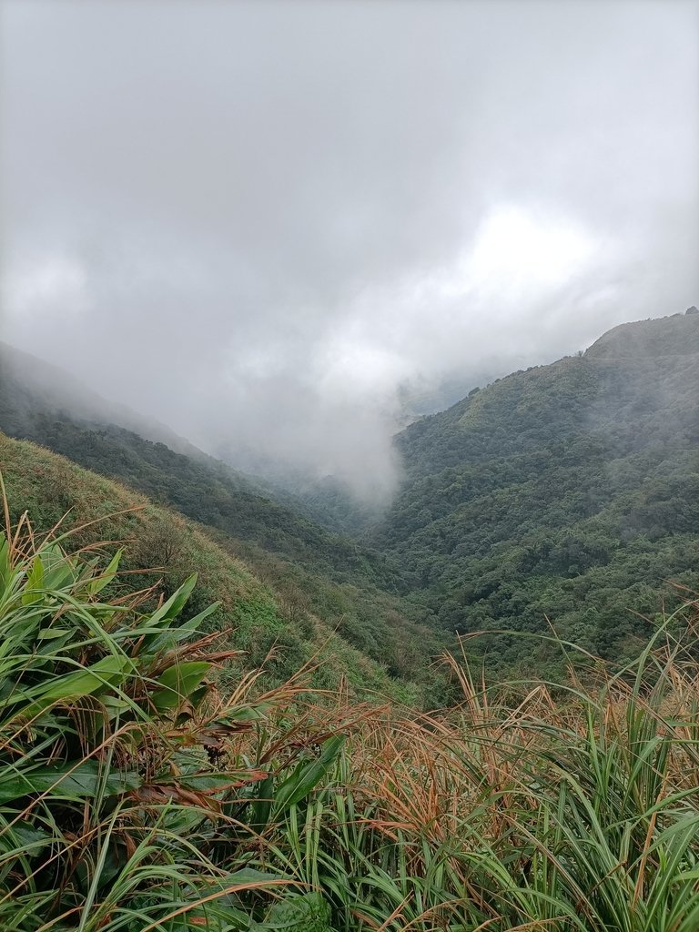 IMG20201226103616.jpg - 瑞芳  不厭亭之  煙雨山水