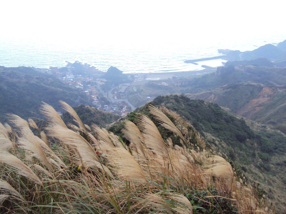 DSC03302.JPG - 報時山步道