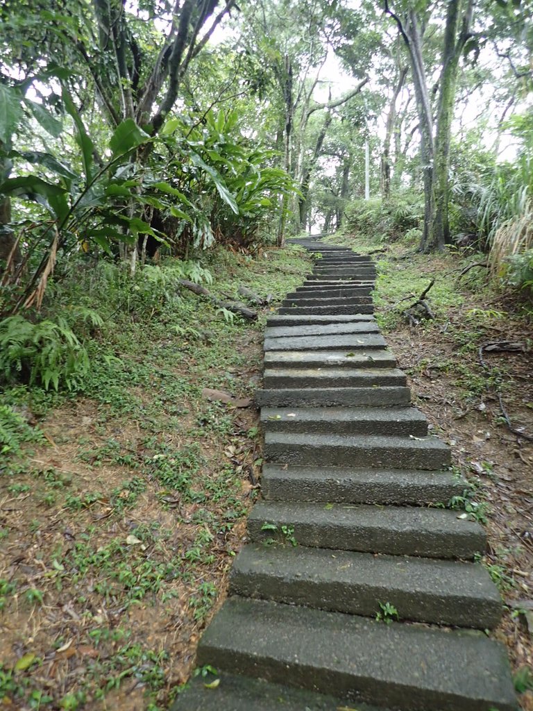 P1062035.JPG - 土城  天上山  登山步道