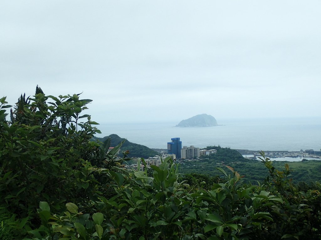 P4143563.JPG - 基隆  五坑山  總督嶺步道