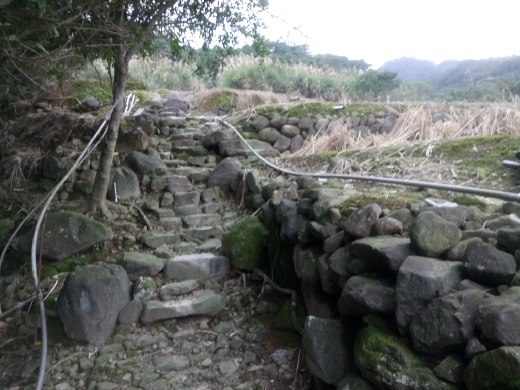 DSC_3331.JPG - 金山  大路崁古道