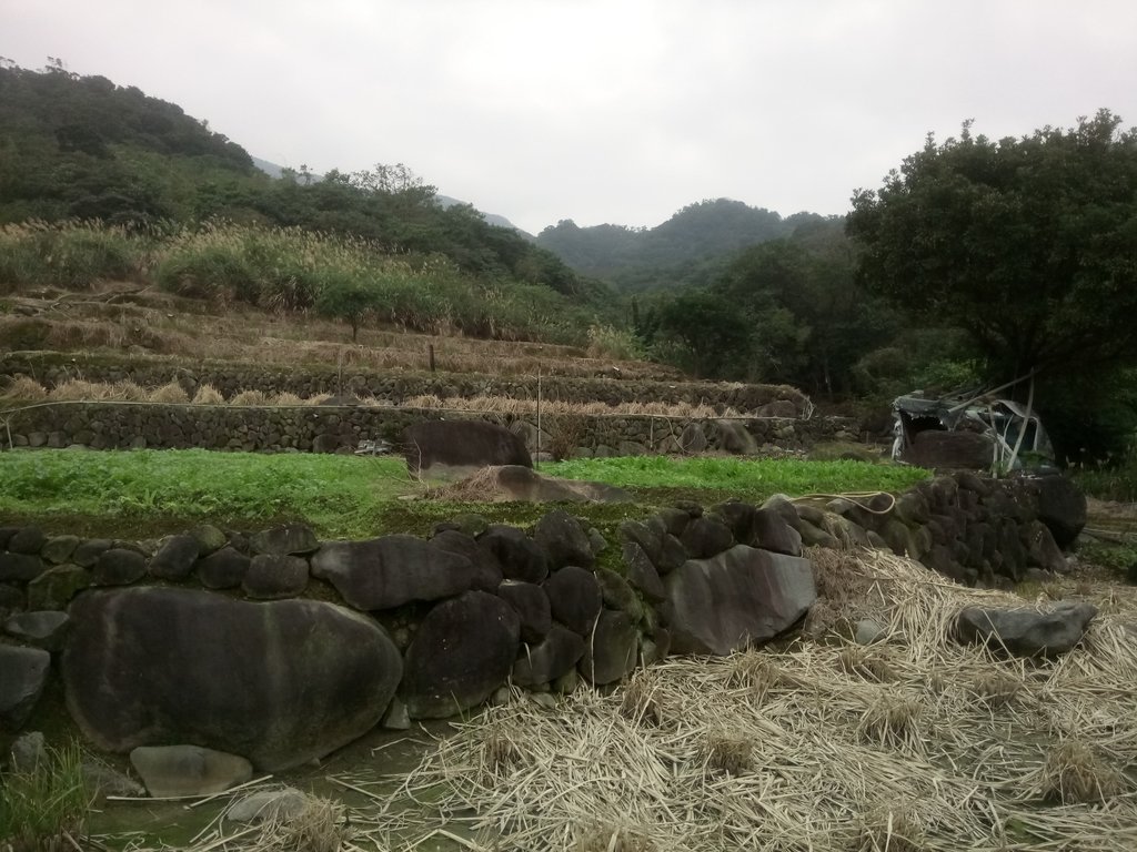 DSC_3357.JPG - 金山  大路崁古道