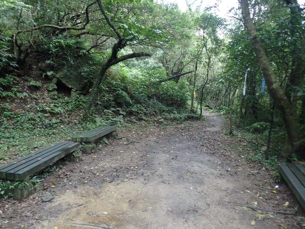 P1274375.JPG - 瑞芳  燦光寮古道初探