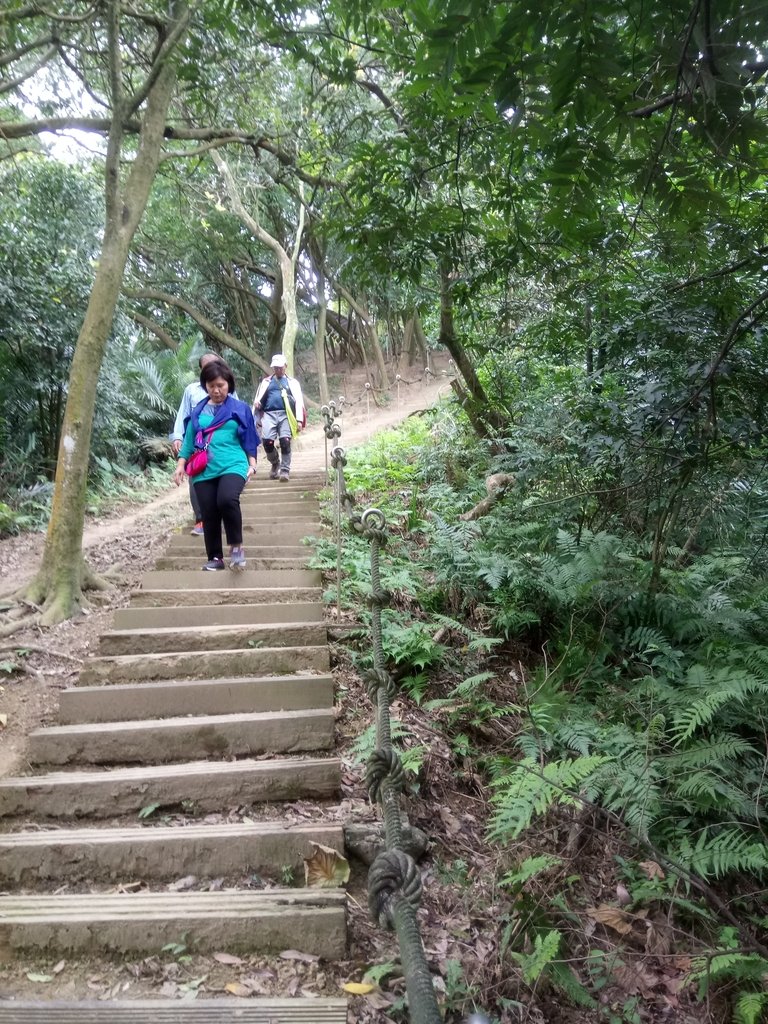 DSC_5155.JPG - 三峽  鳶尾山登山步道