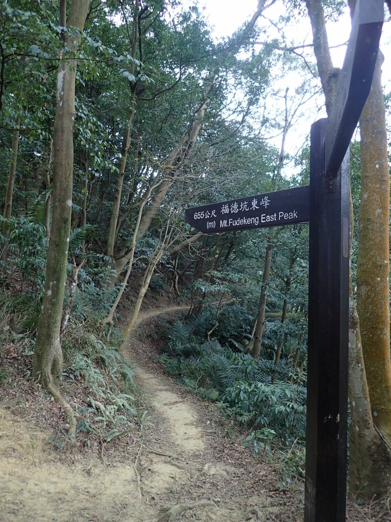 P2168119.JPG - 三峽  鳶山  (福德坑山)