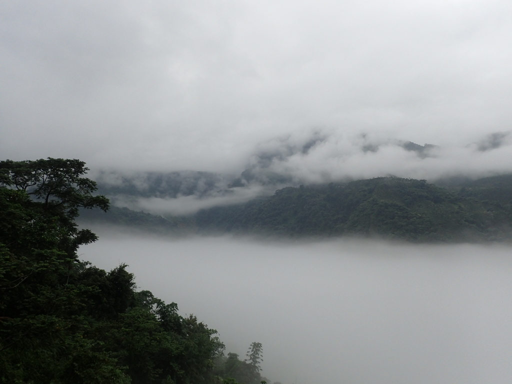 PA231559.JPG - 古坑  草嶺  雲山繚繞