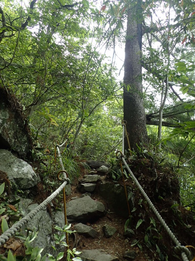 P5012308.JPG - 谷關七雄之  波津加山