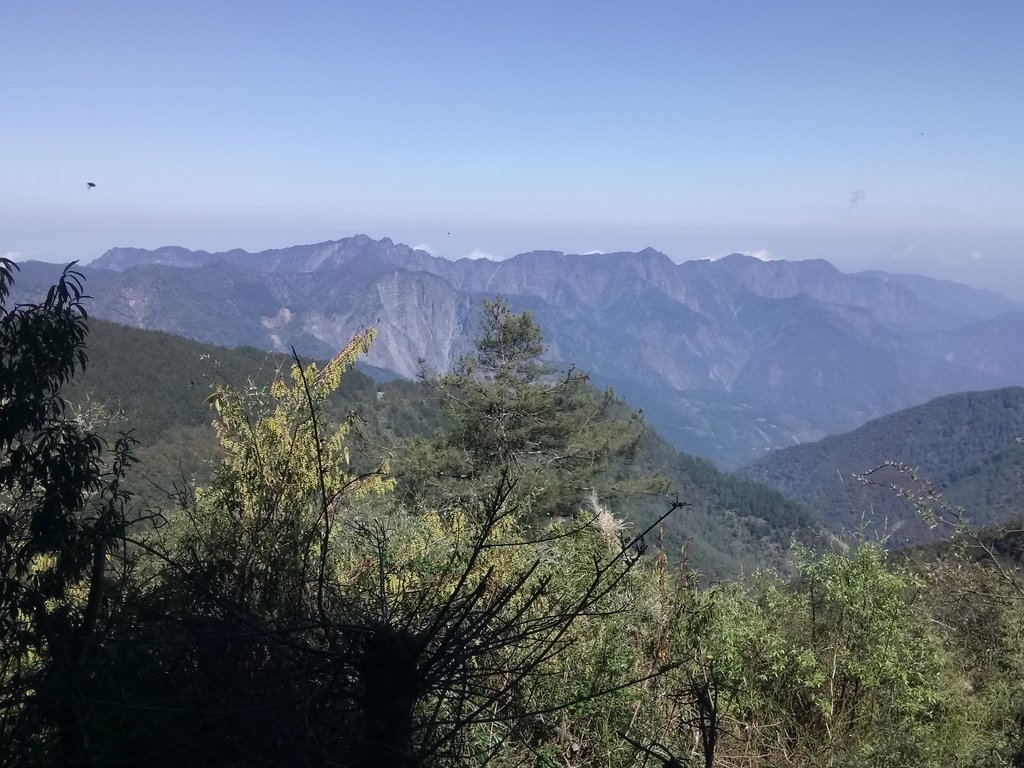 DSC_1677.JPG - 鹿林山  麟趾山步道  (01)