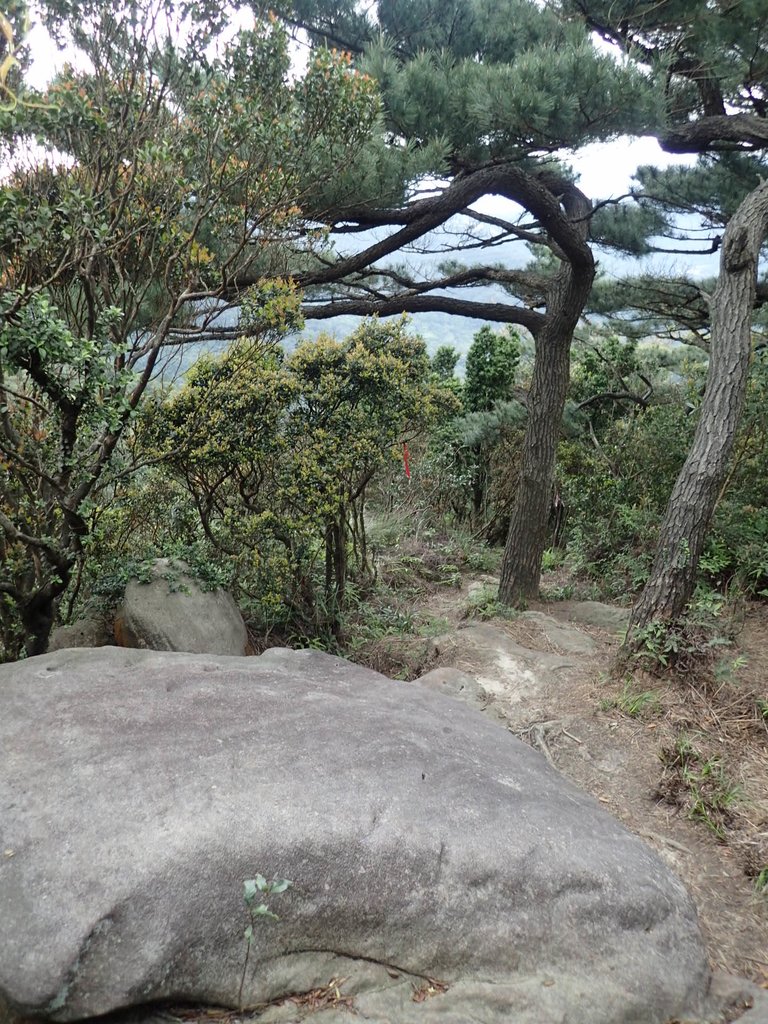 P3160053.JPG - 汐止  柯子林山  如意湖