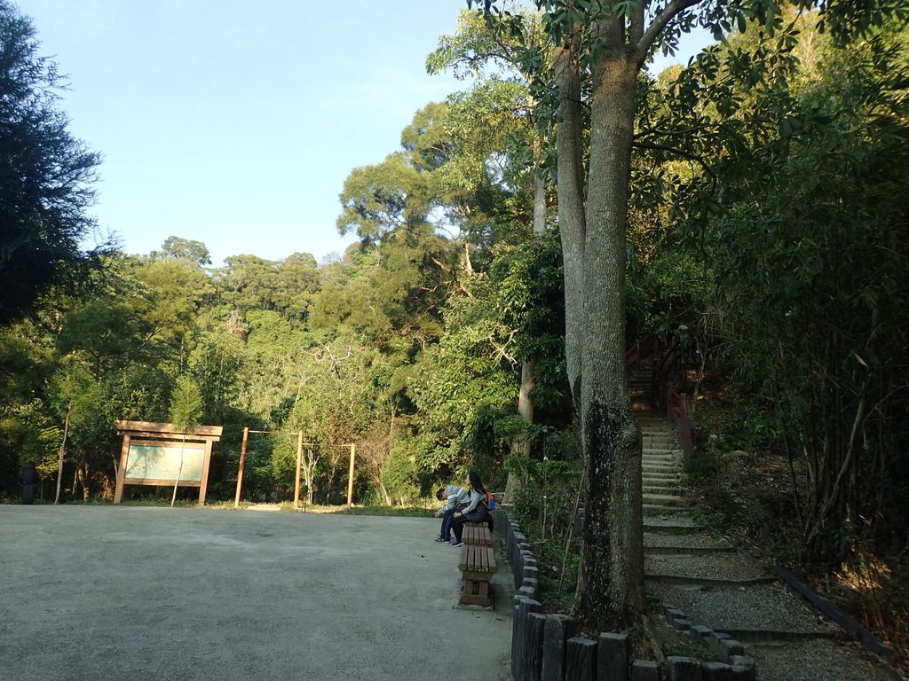 P1123654.JPG - 潭子 聚興山  新田登山步道