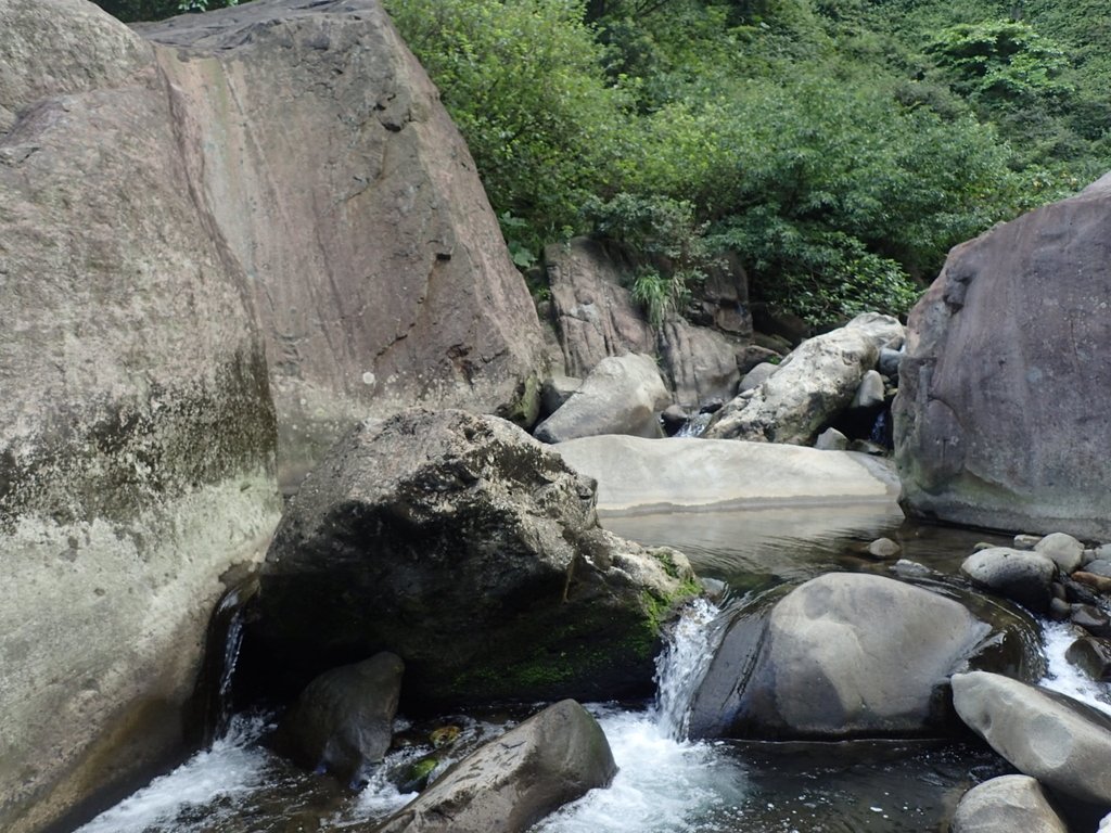 P8317633.JPG - 瑞芳  雷霆岩下之  溪谷風情