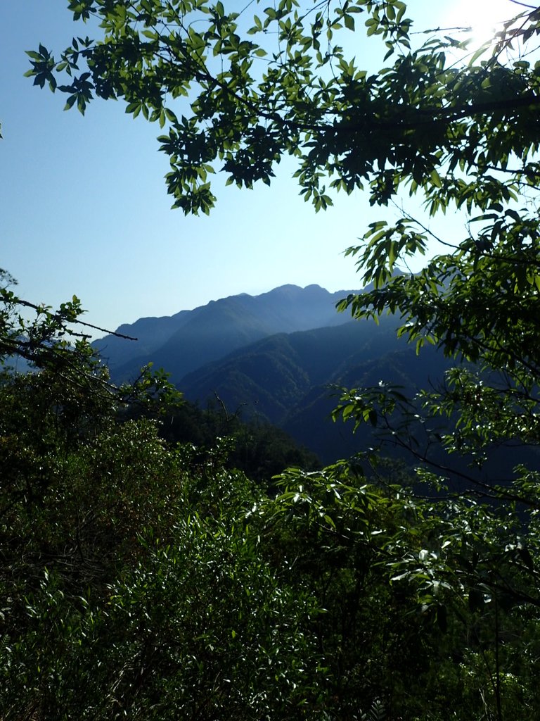 P3167154.JPG - 谷關  德芙蘭步道