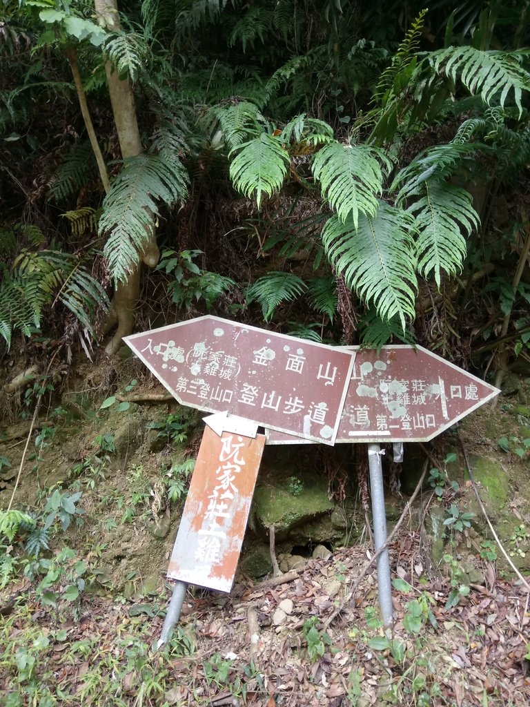 DSC_3020.JPG - 大溪  金面山登山步道