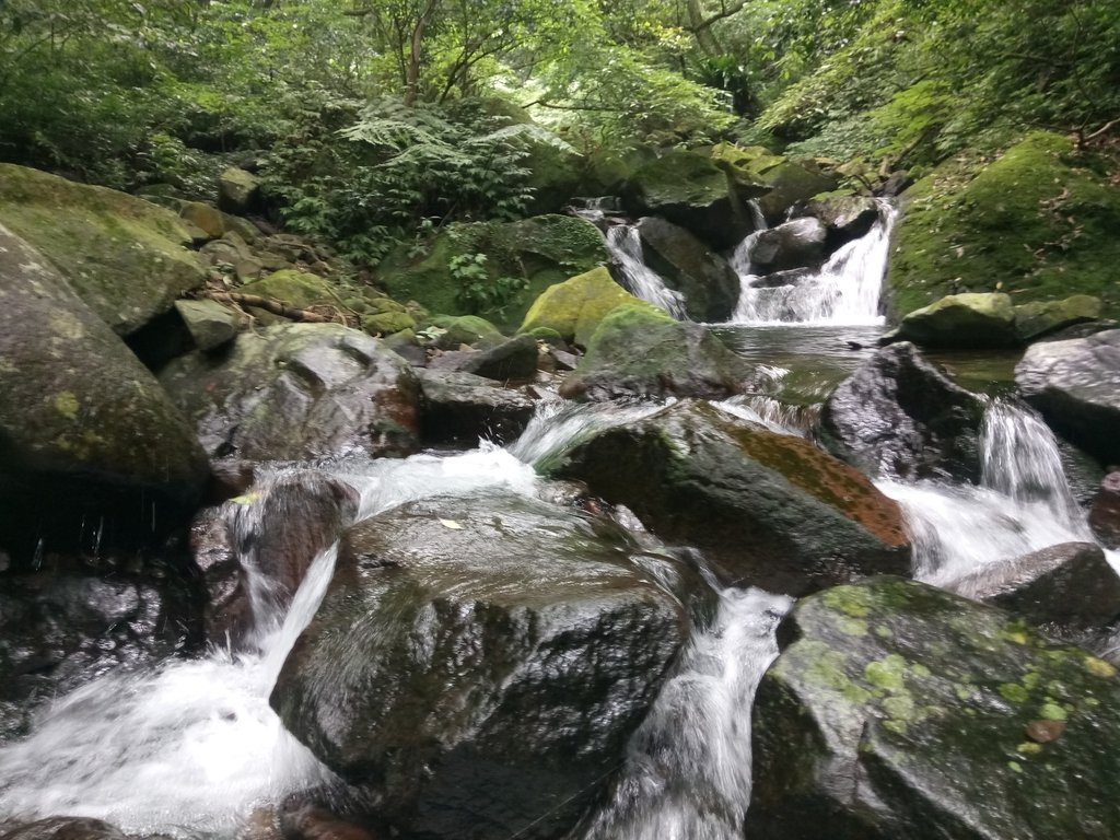 DSC_0730.JPG - 三芝  大屯溪古道