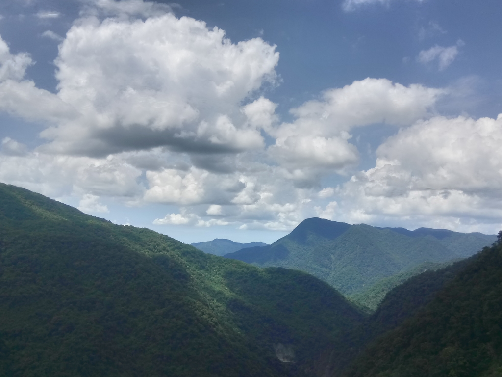 DSC_6818.JPG - 烏來  內洞林道  初探