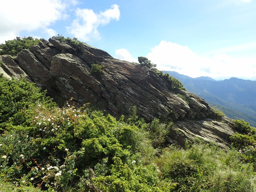 P7245964.JPG - 合歡山  北峰之美  (上)