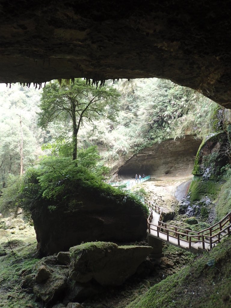 P2056663.JPG - 竹山  杉林溪森林遊樂園  路過