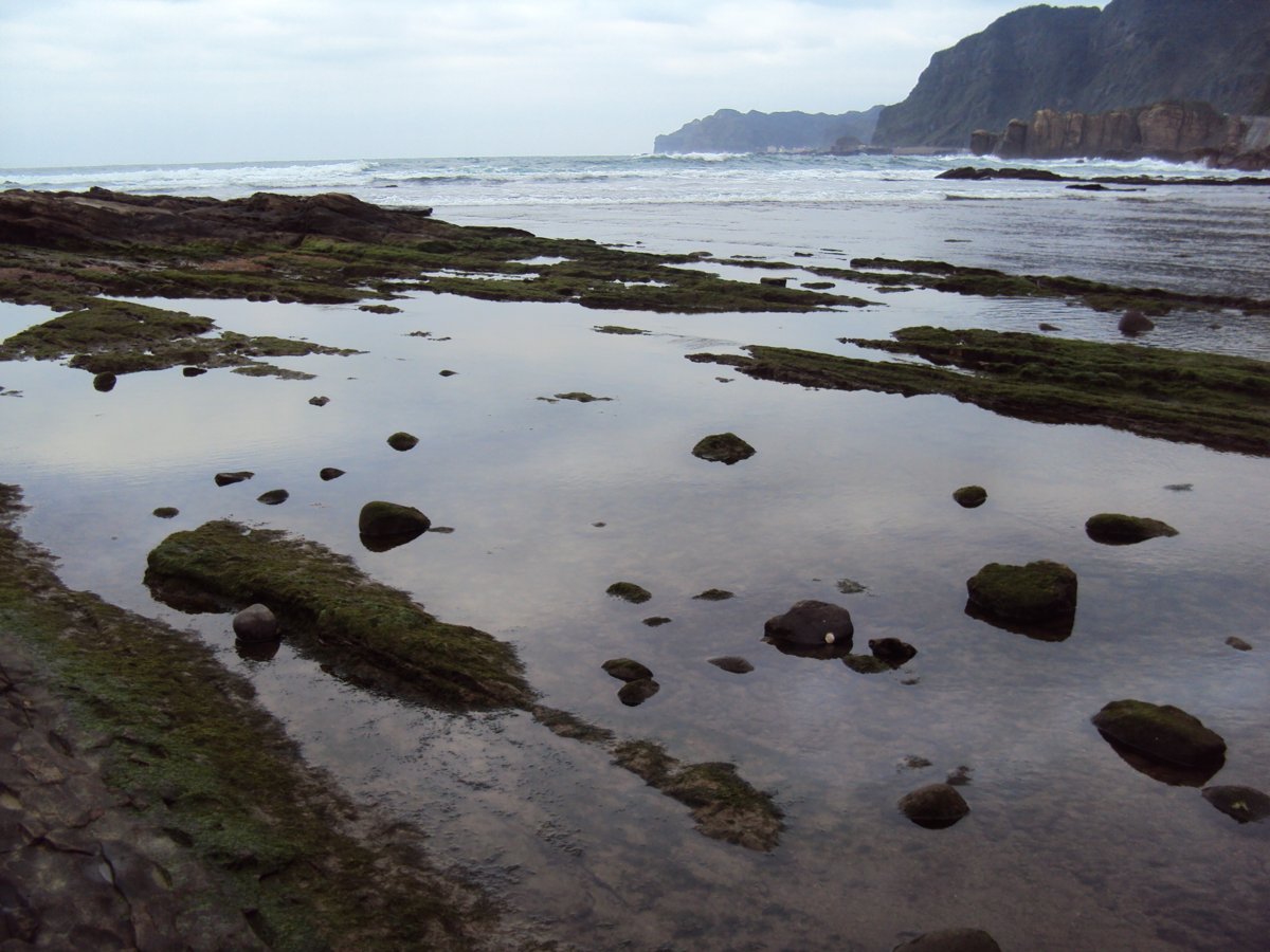 DSC06353.JPG - 瑞芳  南雅海岸岩石之美