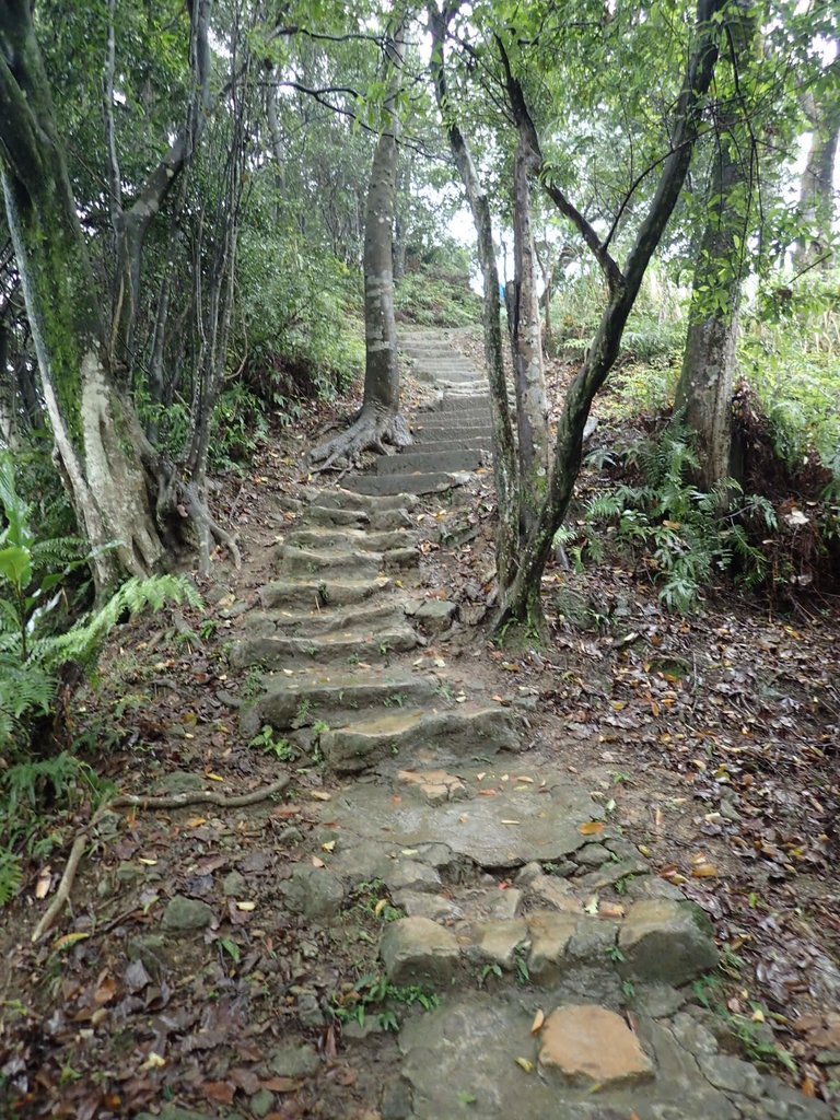 P1062037.JPG - 土城  天上山  登山步道