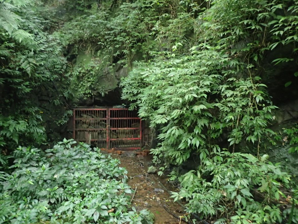 P3039120.JPG - 三峽  白雞山登山步道