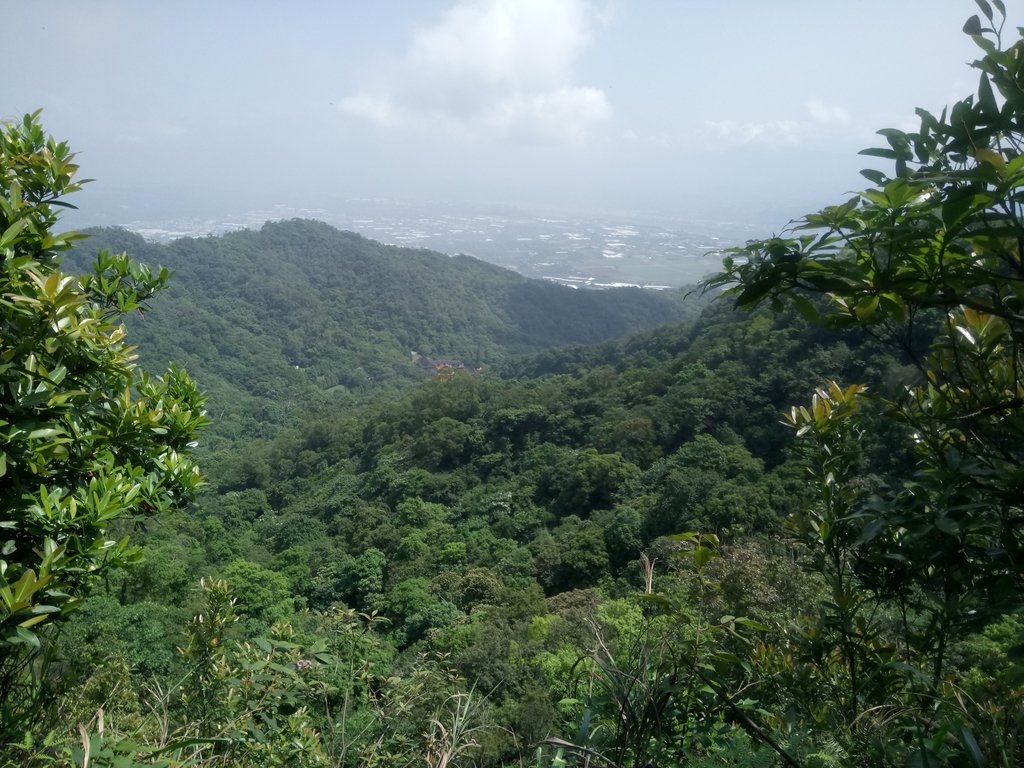 DSC_1270.JPG - 大坑四號步道  頭嵙山