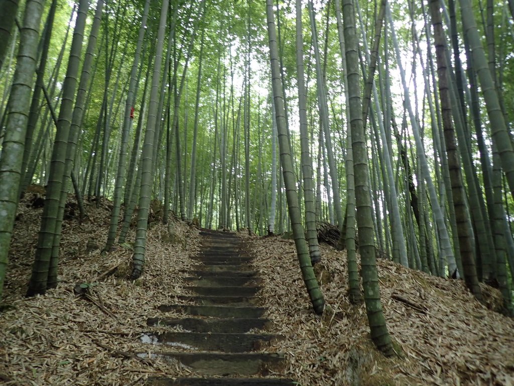 PA231690.JPG - 石壁山  嘉南雲峰步道