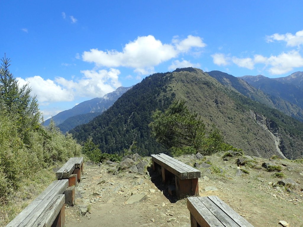 P3268175.JPG - 鹿林山  麟趾山步道  (02)