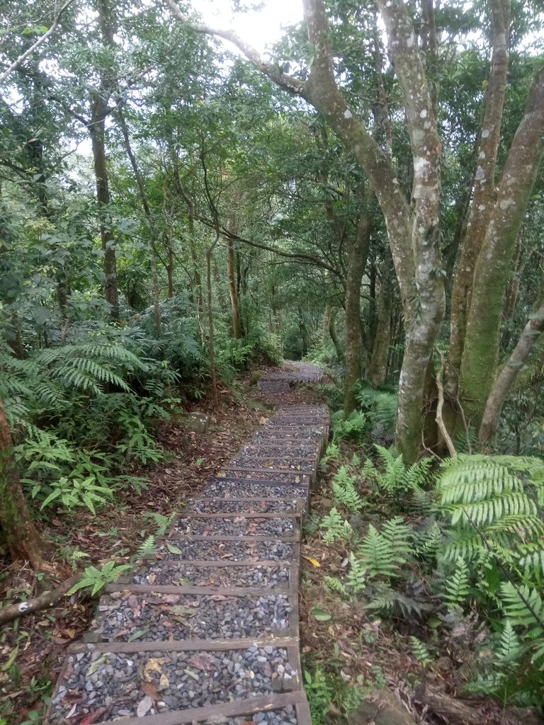 DSC_7172.JPG - 坪林  鬼子賴尖山