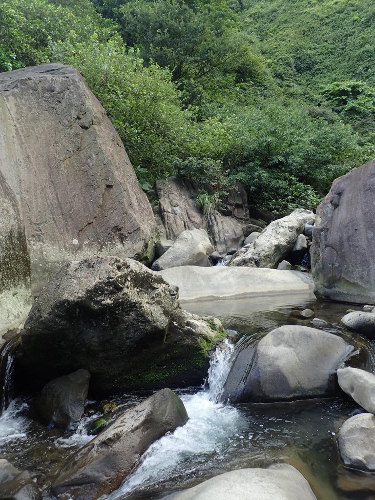 P8317634.JPG - 瑞芳  雷霆岩下之  溪谷風情