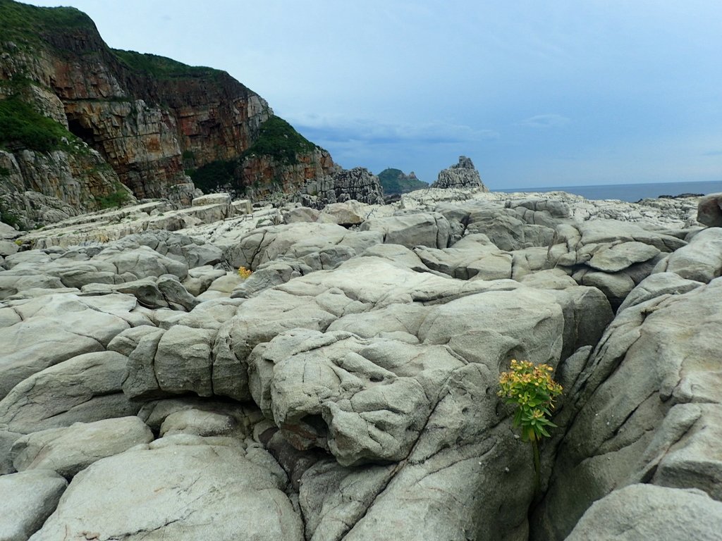 P6220970.JPG - 貢寮  龍洞岬  奇岩之美