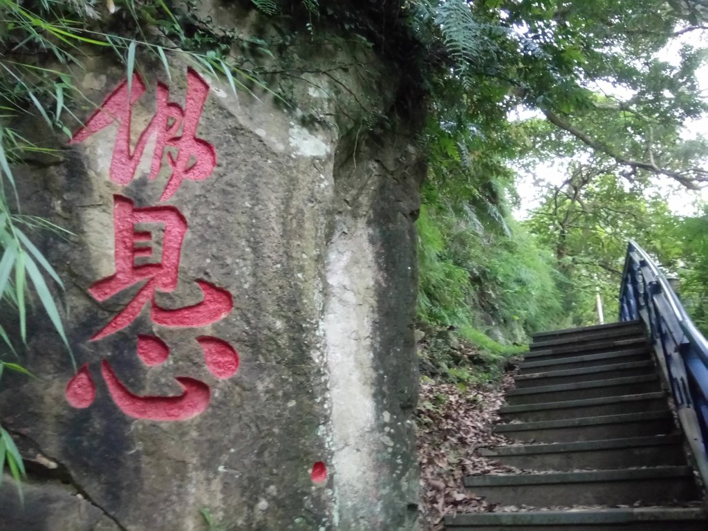 DSC_2068.JPG - 新店  碧潭  和美山登山步道