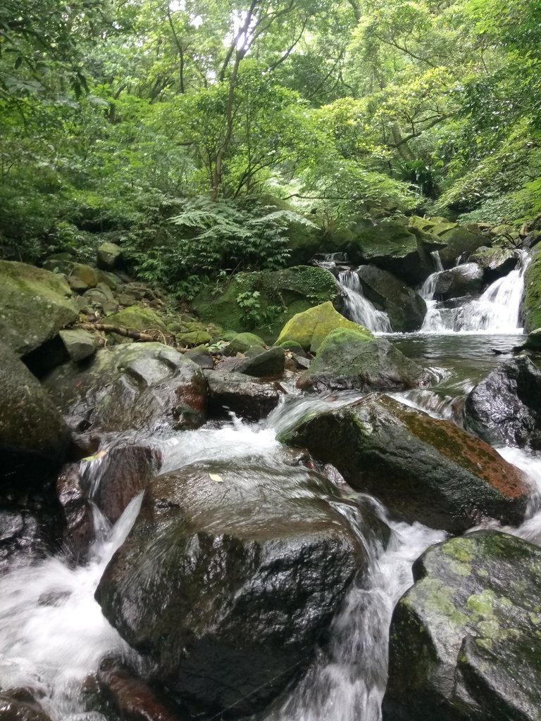 DSC_0731.JPG - 三芝  大屯溪古道