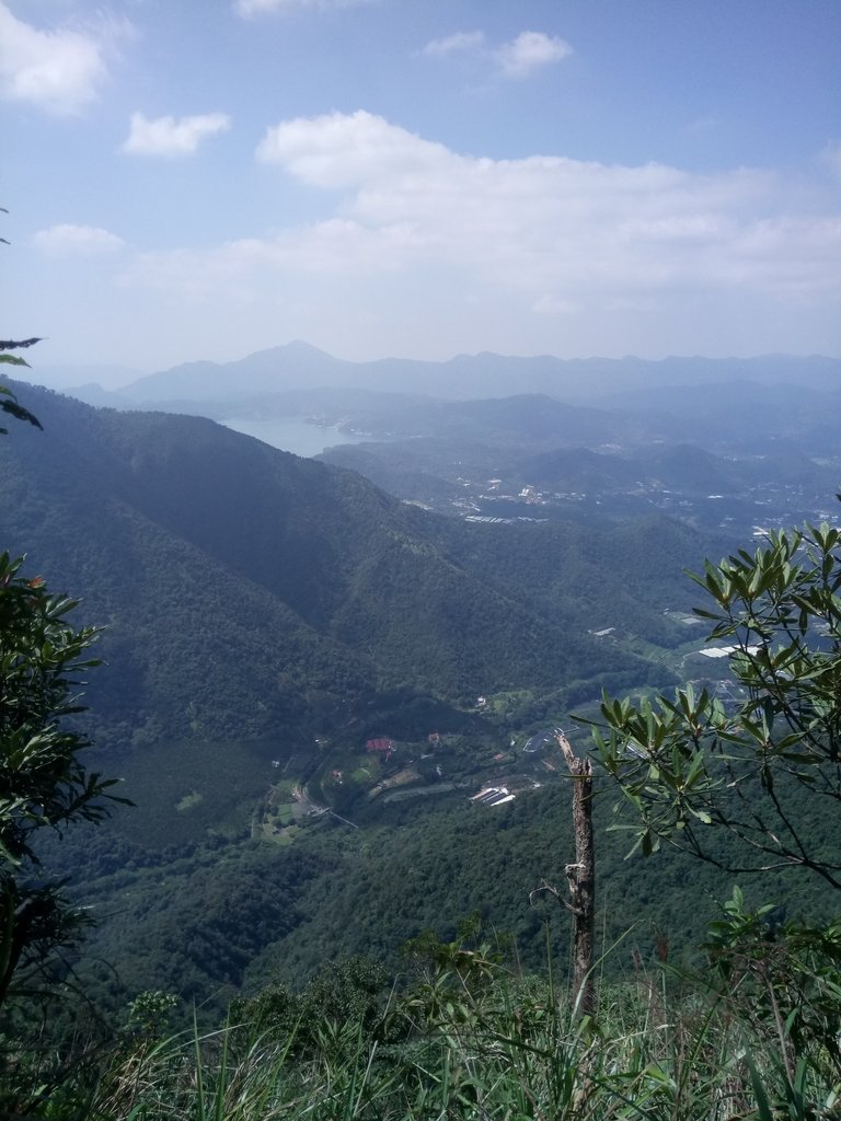 DSC_4068.JPG - 魚池  大尖山登山步道