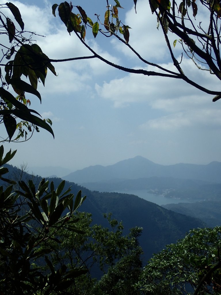 PA040456.JPG - 魚池  大尖山登山步道