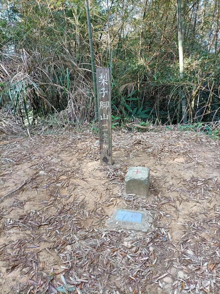 IMG20210130091945.jpg - 雲嘉連峰之  太平山  梨子腳山