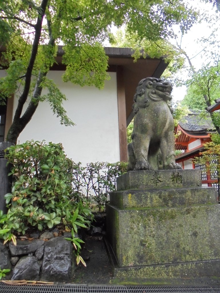 DSC04013.JPG - 京都  八坂神社