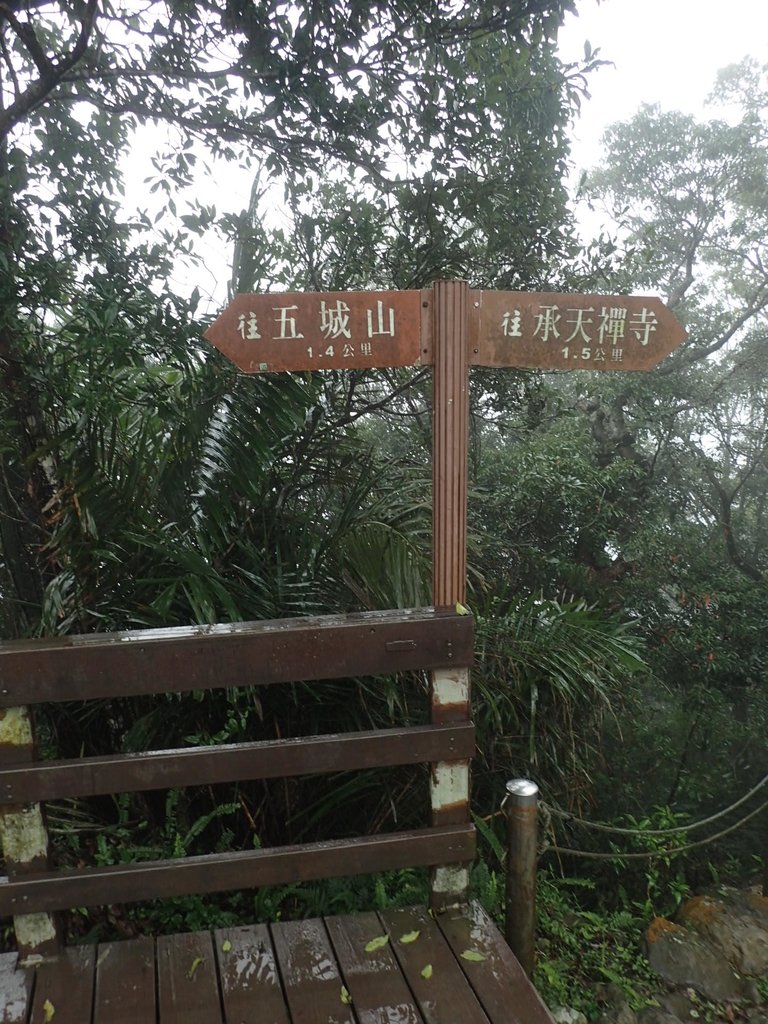 P1062062.JPG - 土城  天上山  登山步道