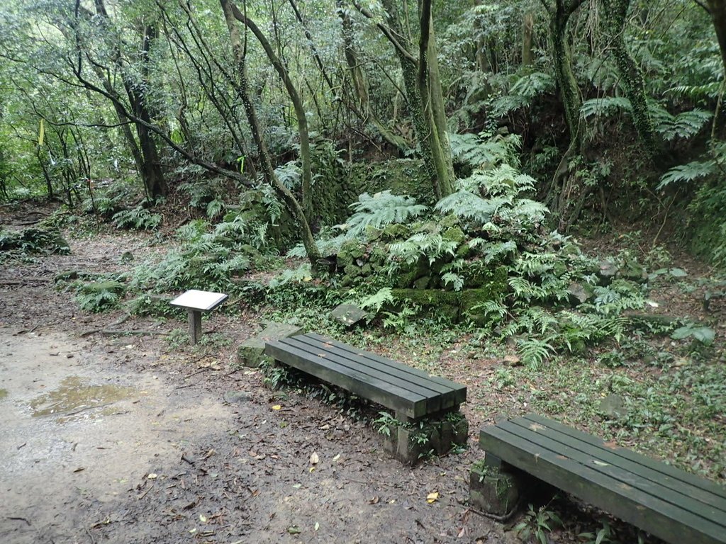 P1274377.JPG - 瑞芳  燦光寮古道初探