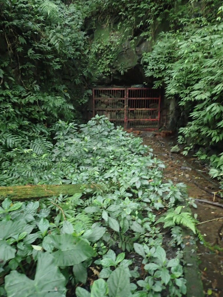 P3039122.JPG - 三峽  白雞山登山步道