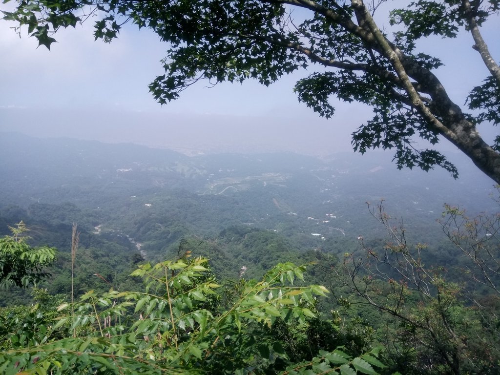 DSC_1276.JPG - 大坑四號步道  頭嵙山