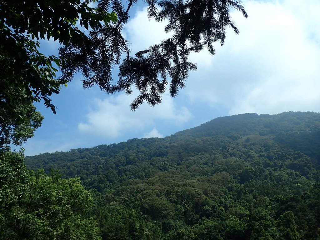 PA064481.JPG - 大湖  馬那邦山  (03)