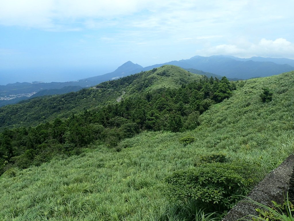 P7203880.JPG - 瑞芳  五分山登山步道